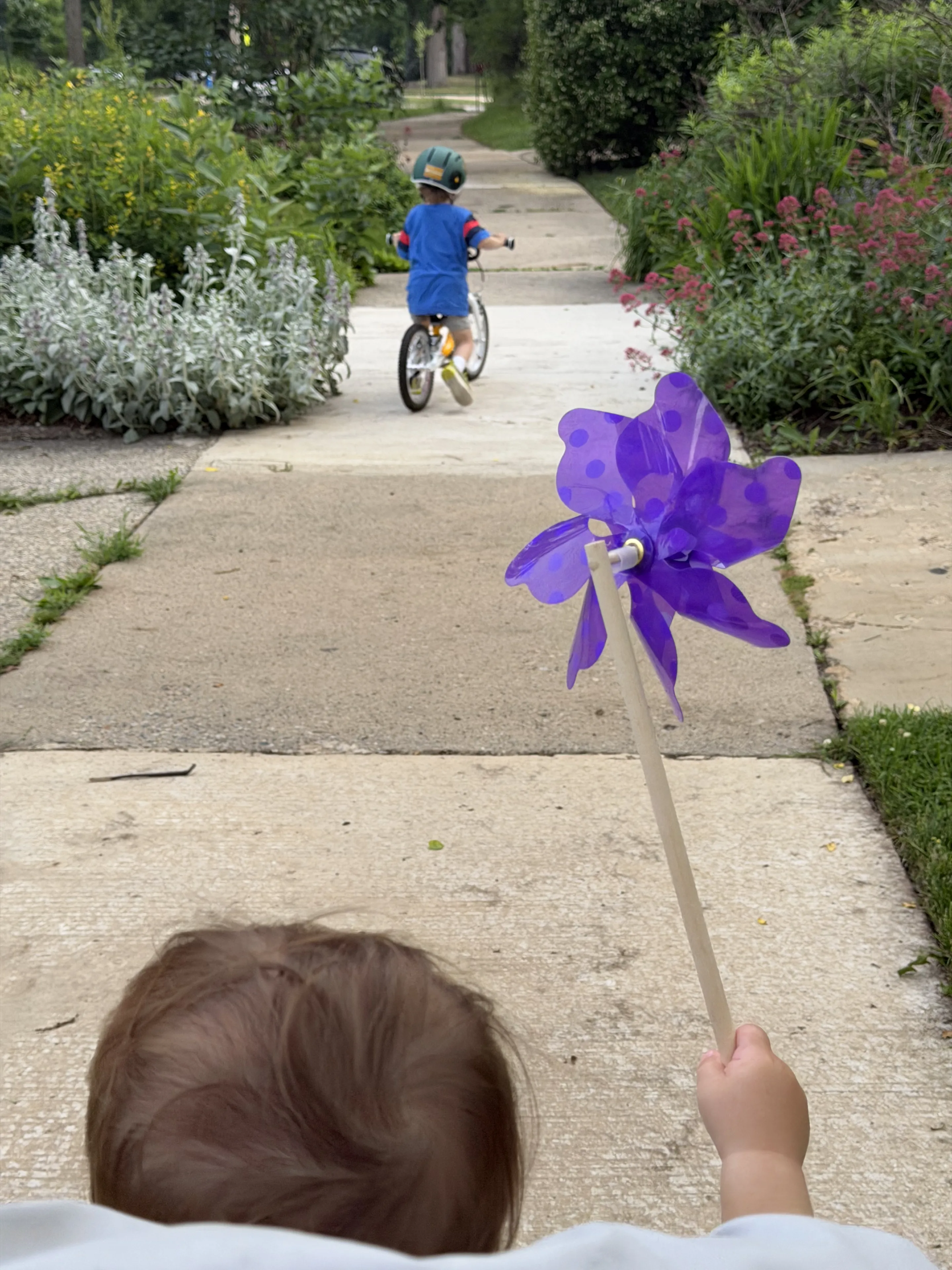 A small child holding a purple pinwheel, an older child on a balance bike ahead, on a tree-lined path heading to the park