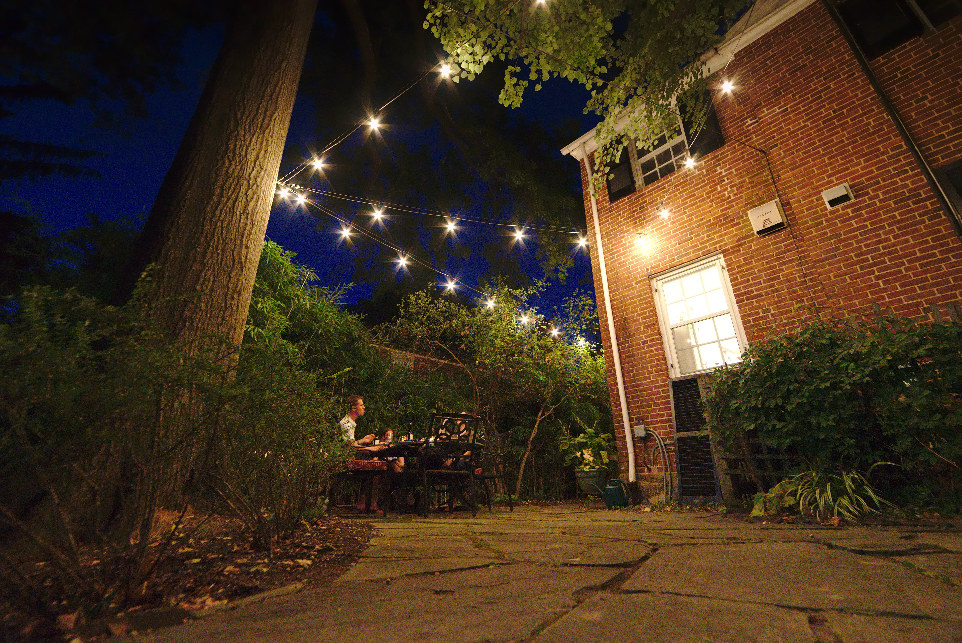 Baltimore backyard dinner