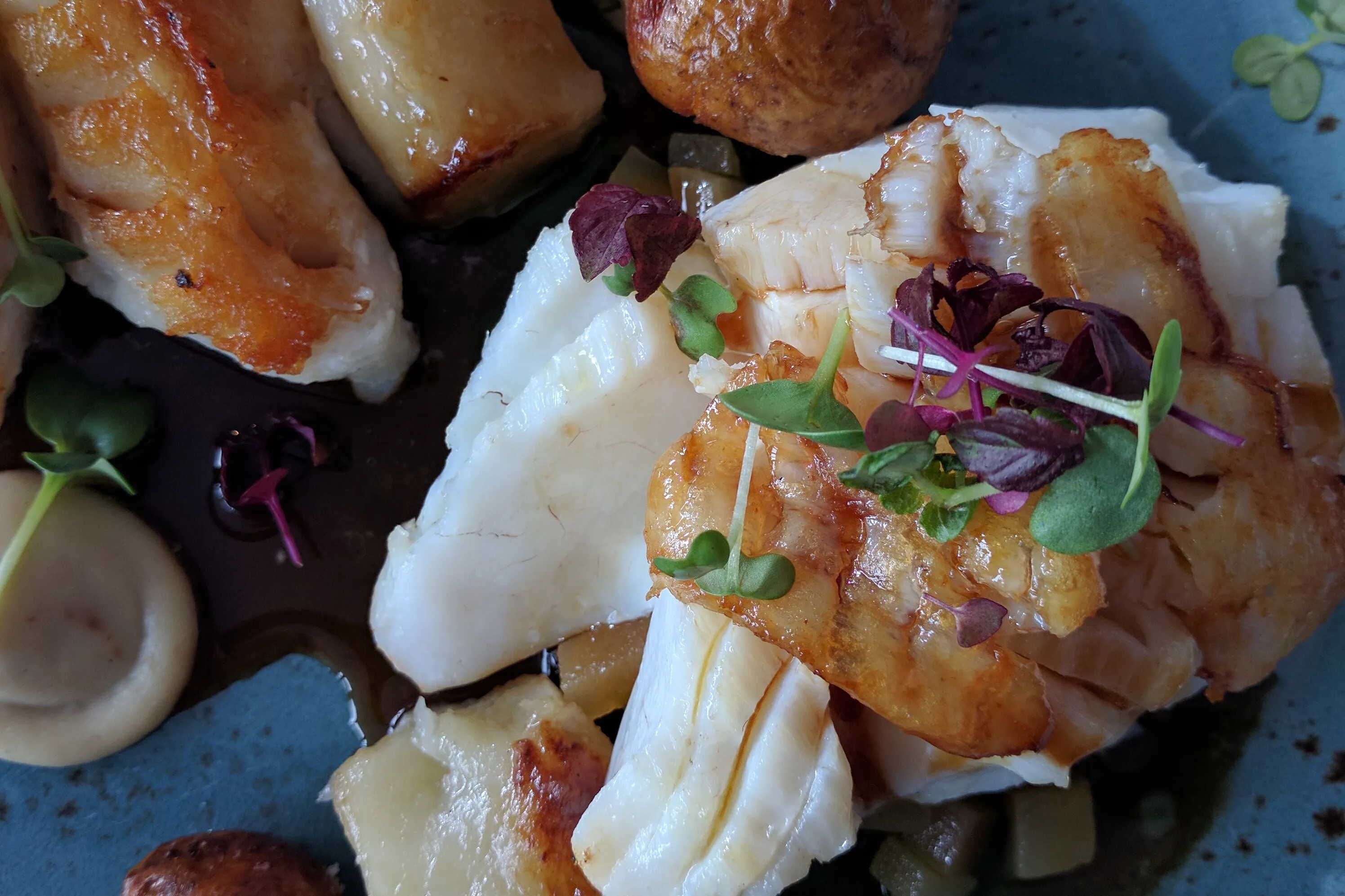 Blue Lagoon cod
