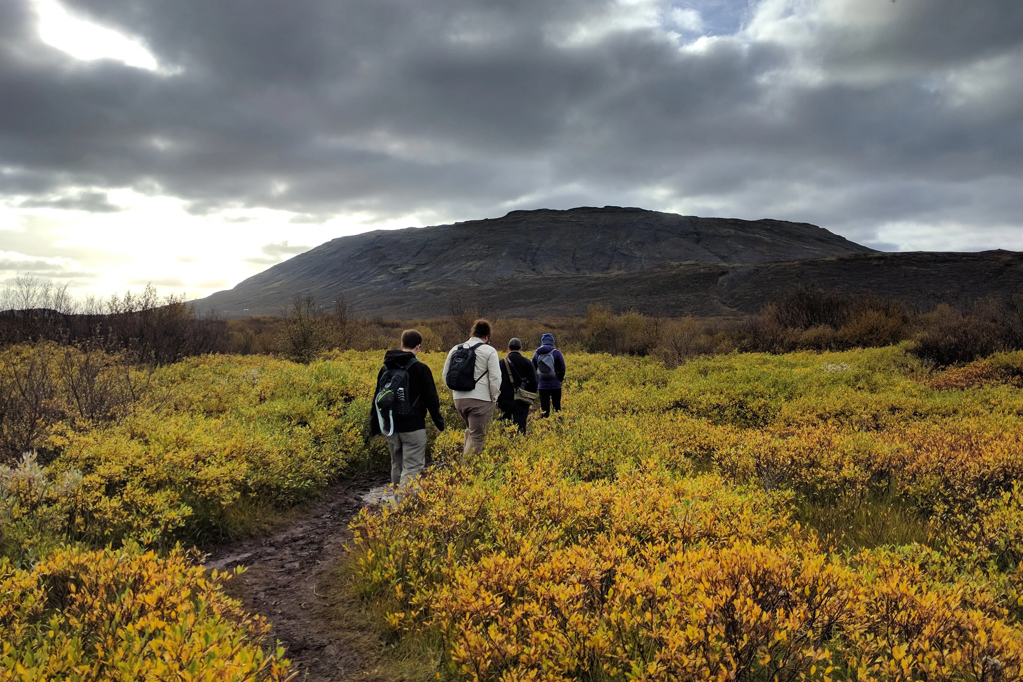 Bruarfoss trail