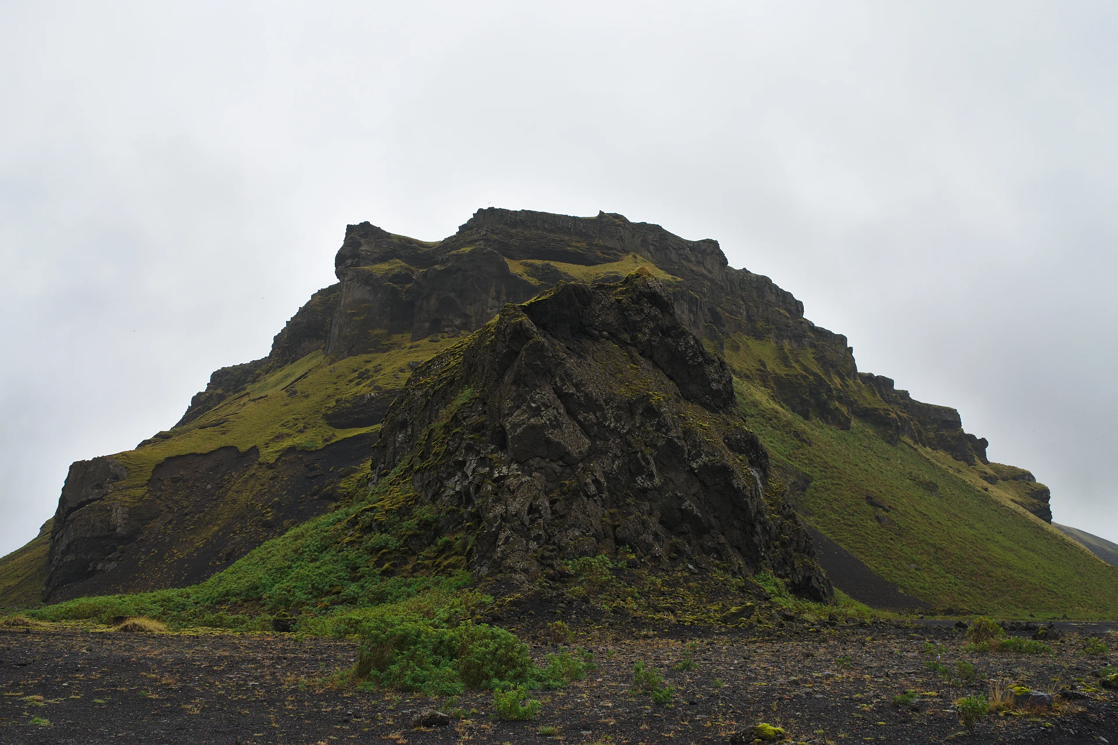 Hjörleifshöfði sheep