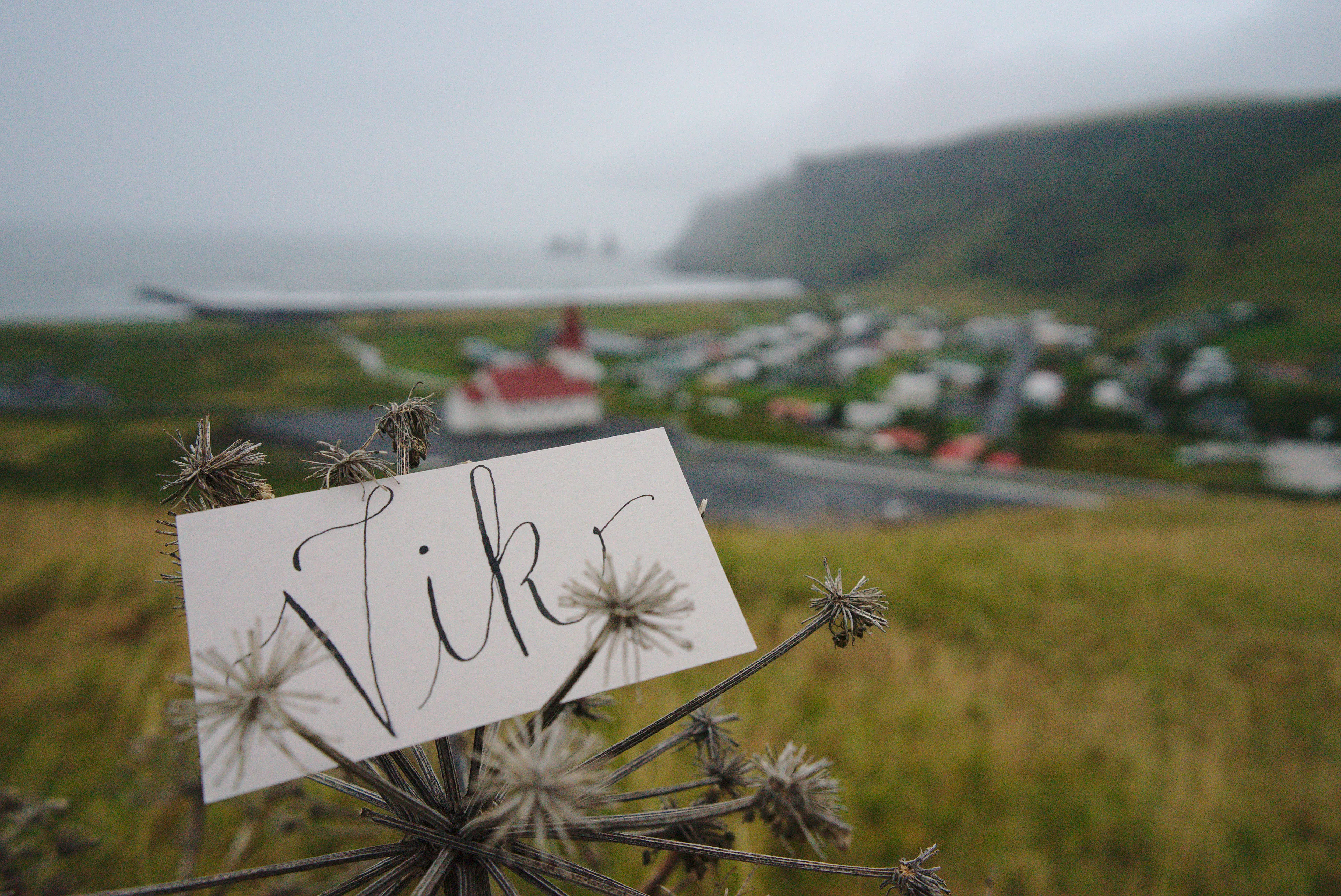 Vik label