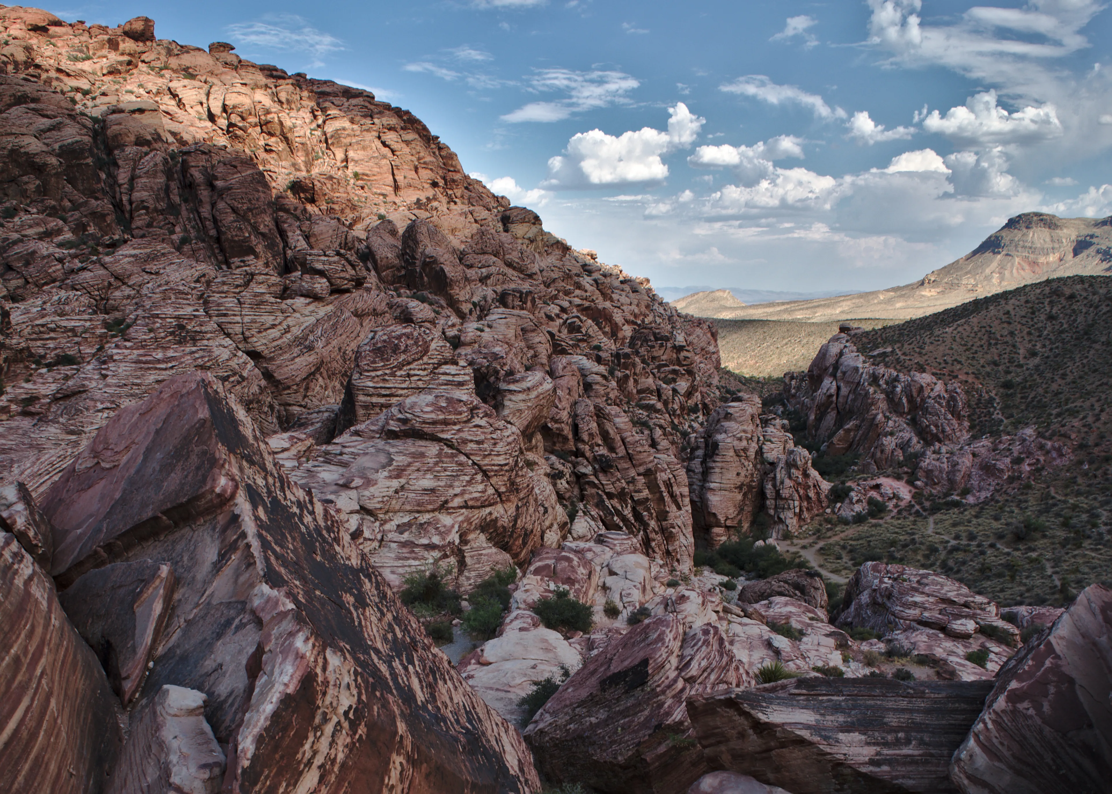 Red Rock Canyon ravine