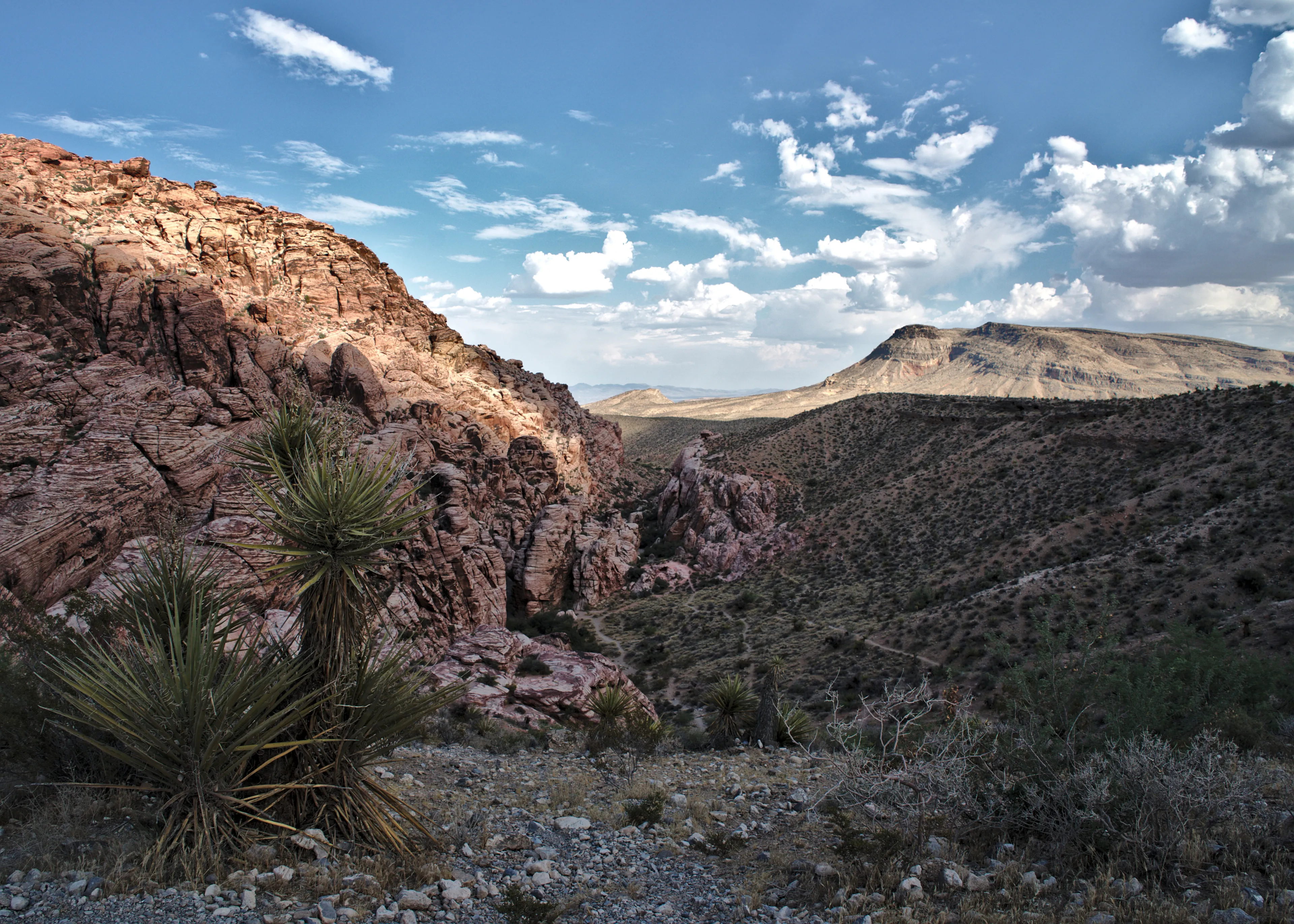 Red Rock Canyon spots