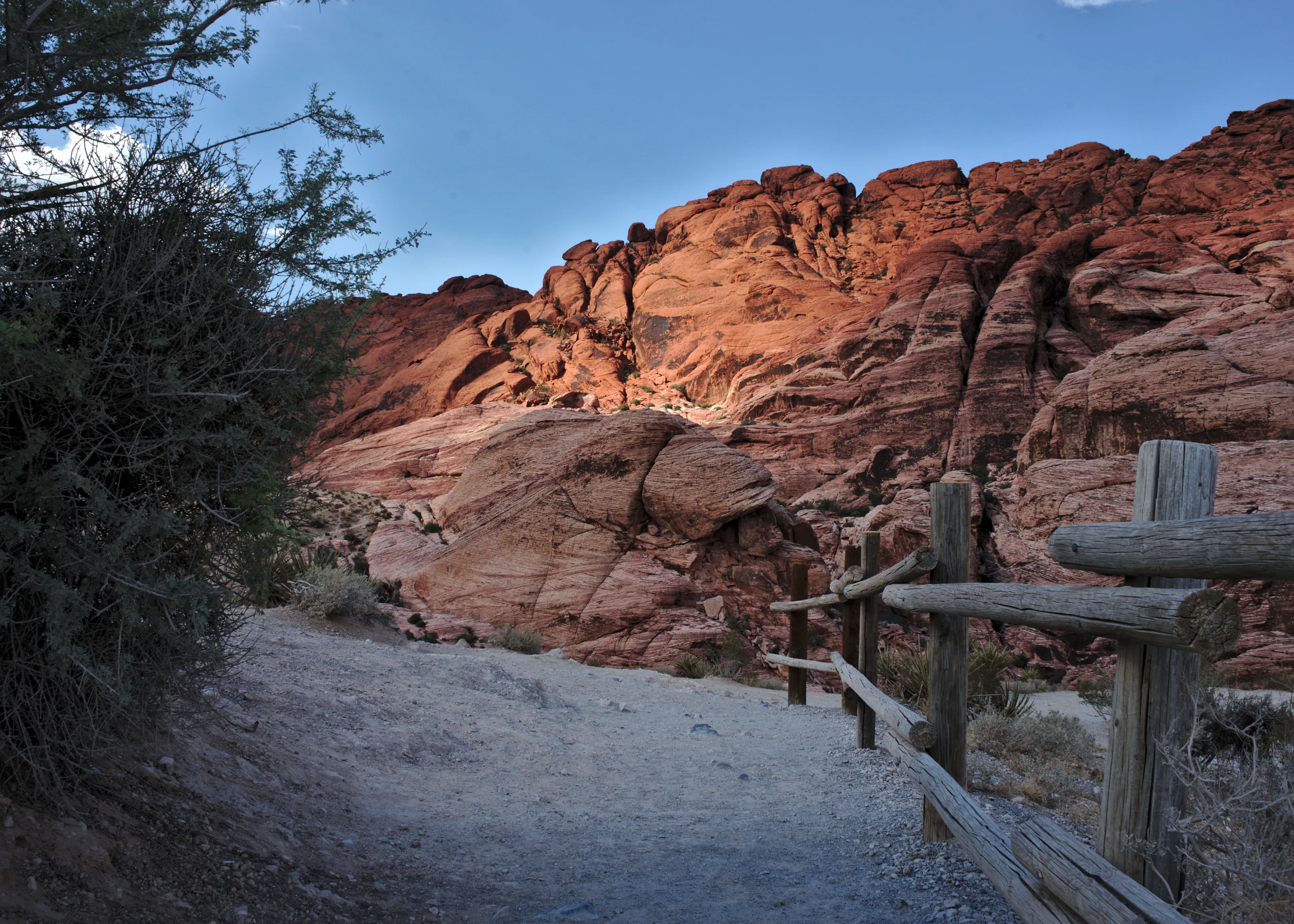 Red Rock Canyon trail