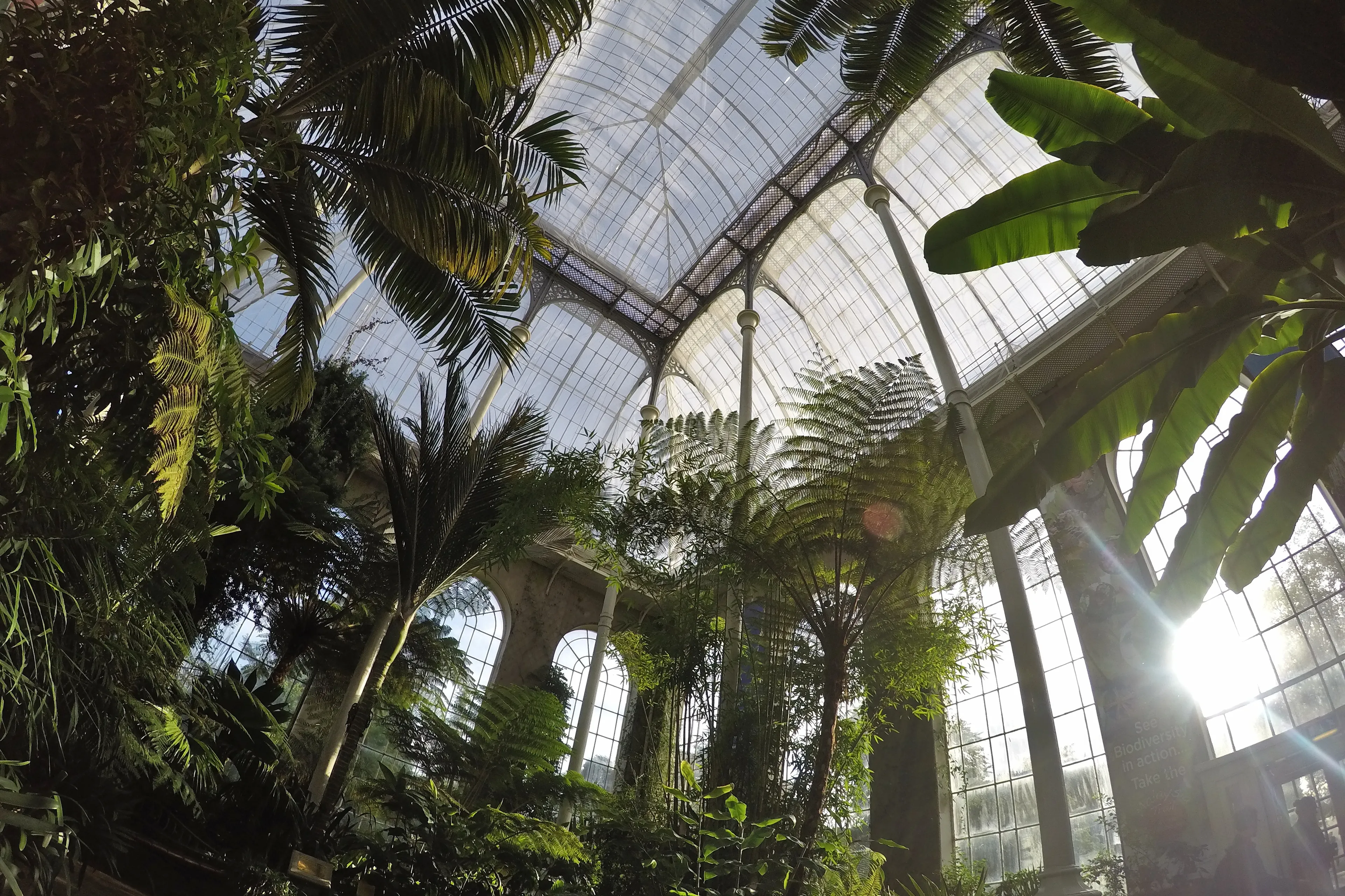 Botanic Garden interior