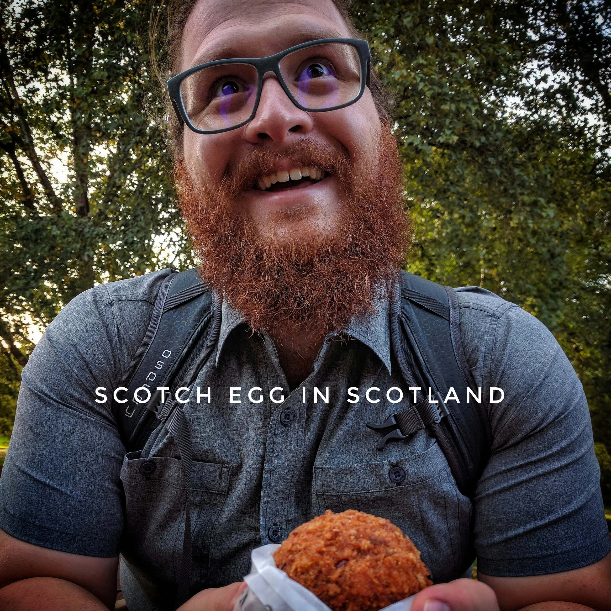 Scotch egg bite
